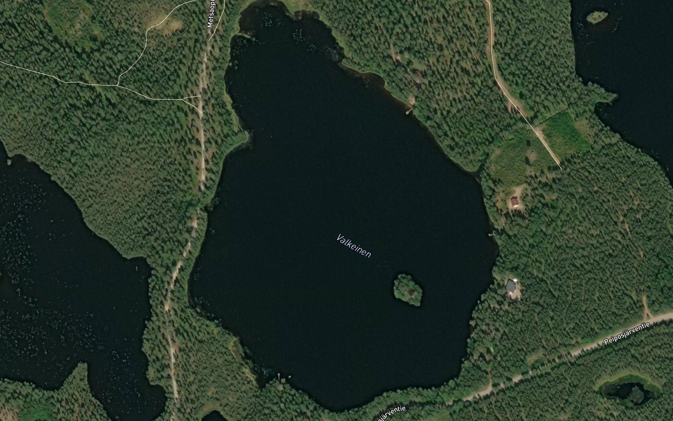 Valkeinen