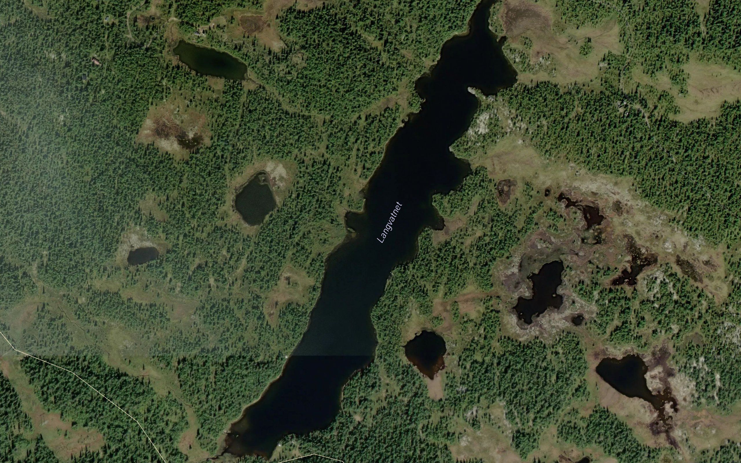 Langvatnet