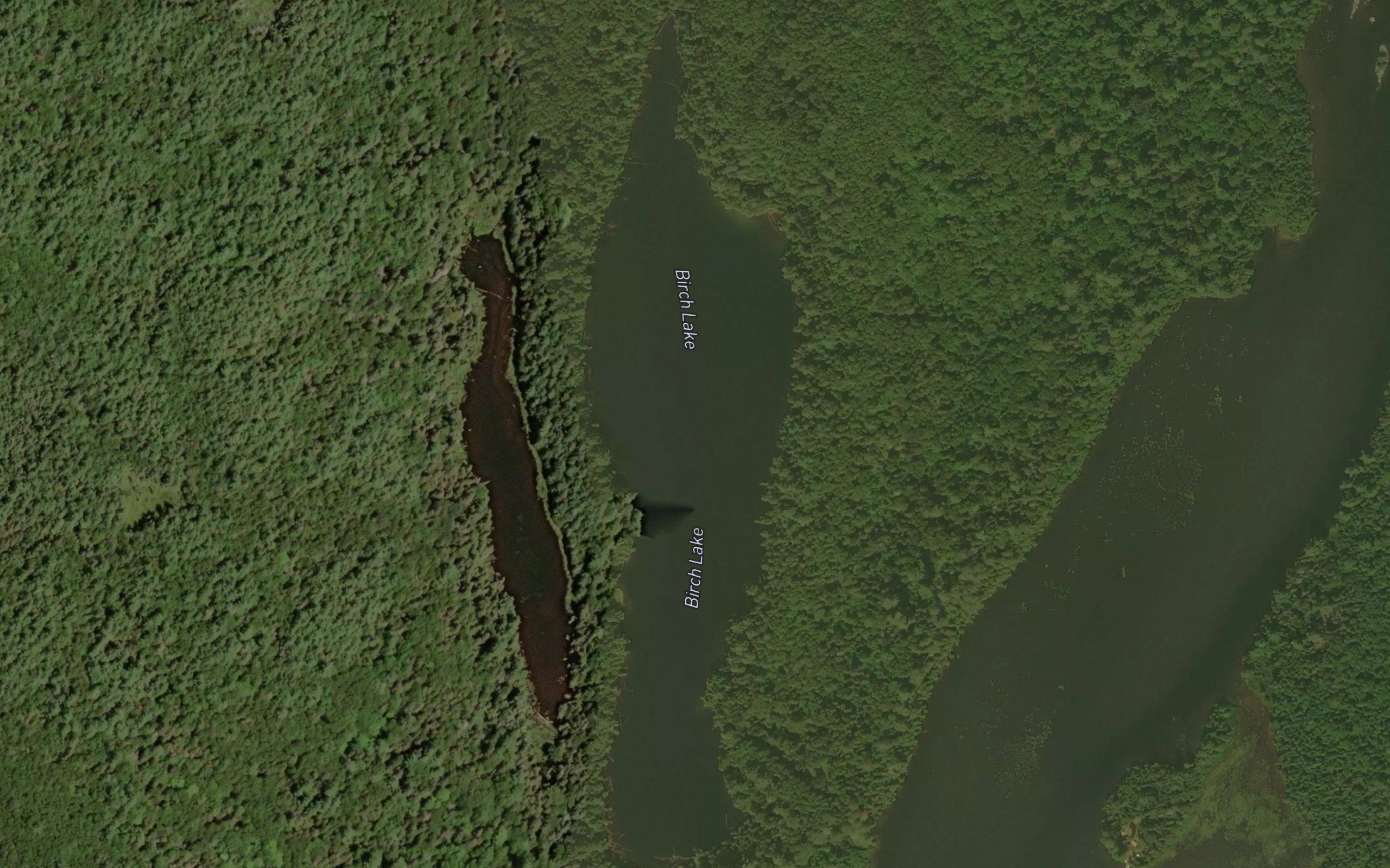 Birch Lake