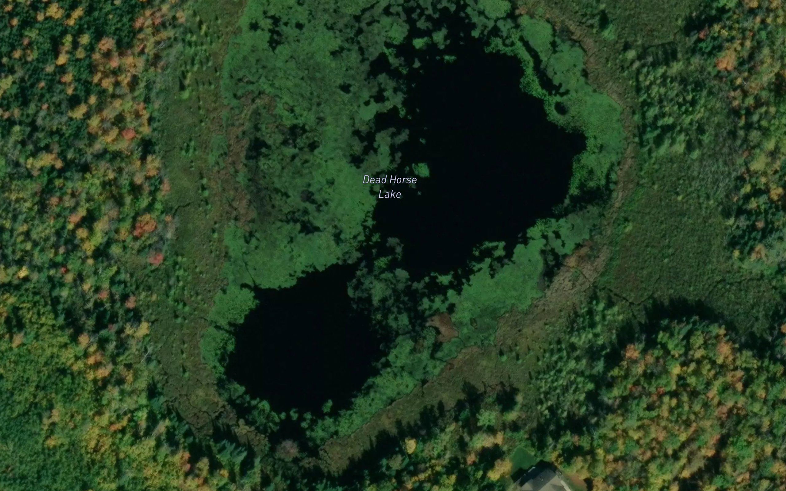 Dead Horse Lake