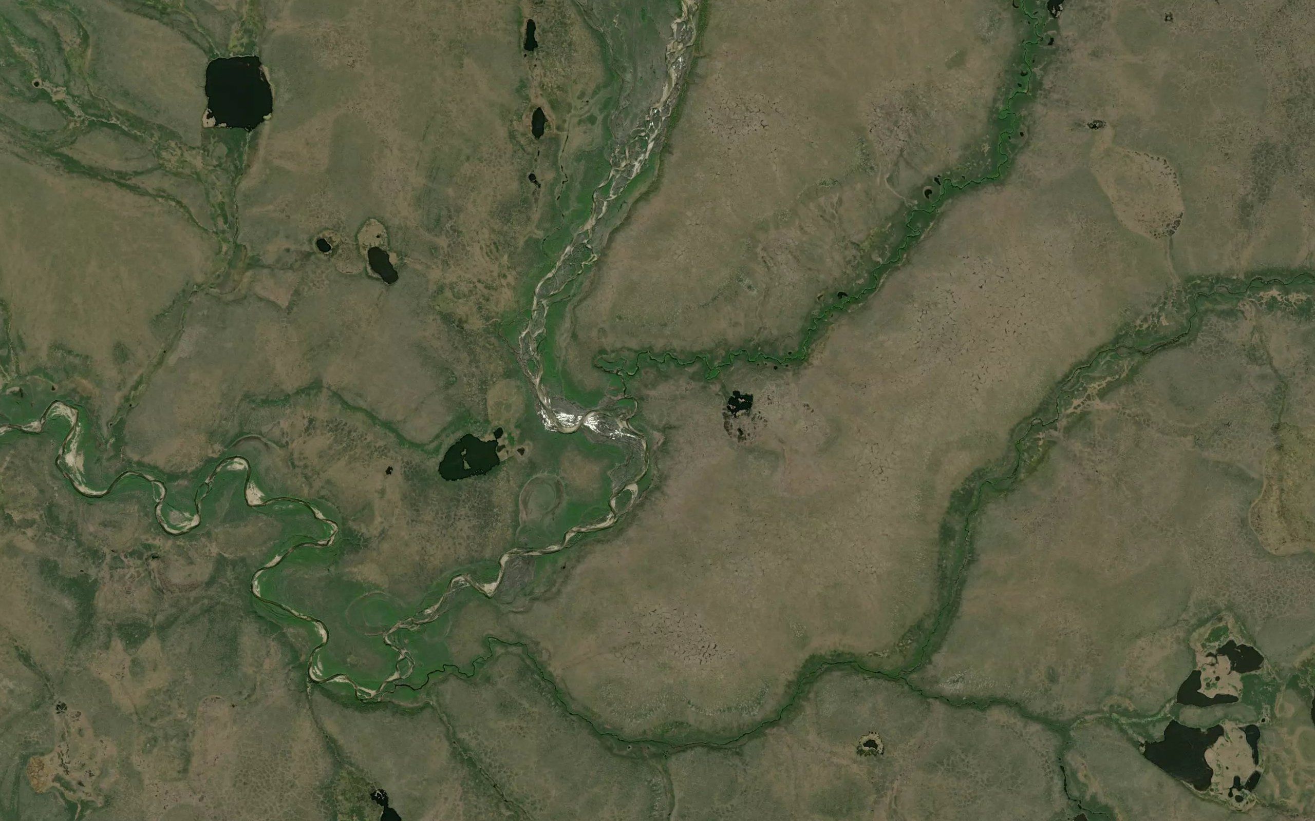 Winter Creek
