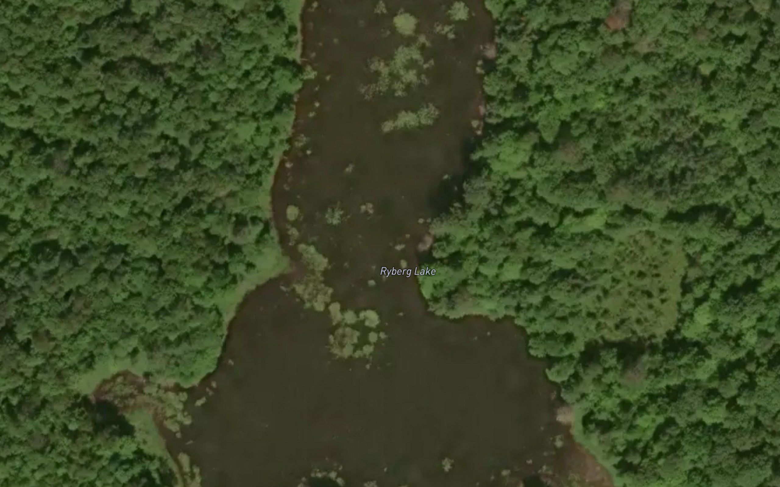 Ryberg Lake