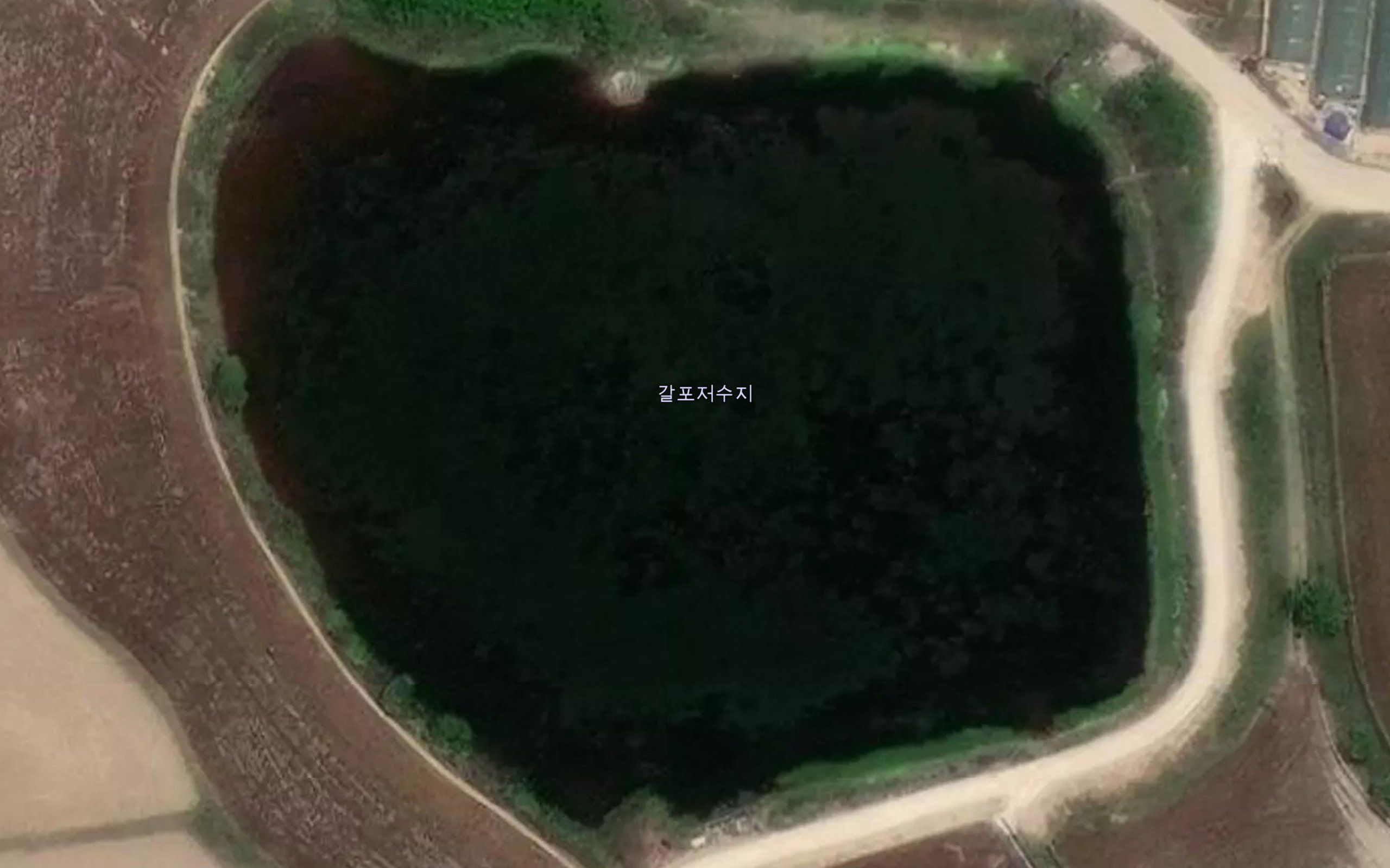 Galpoji