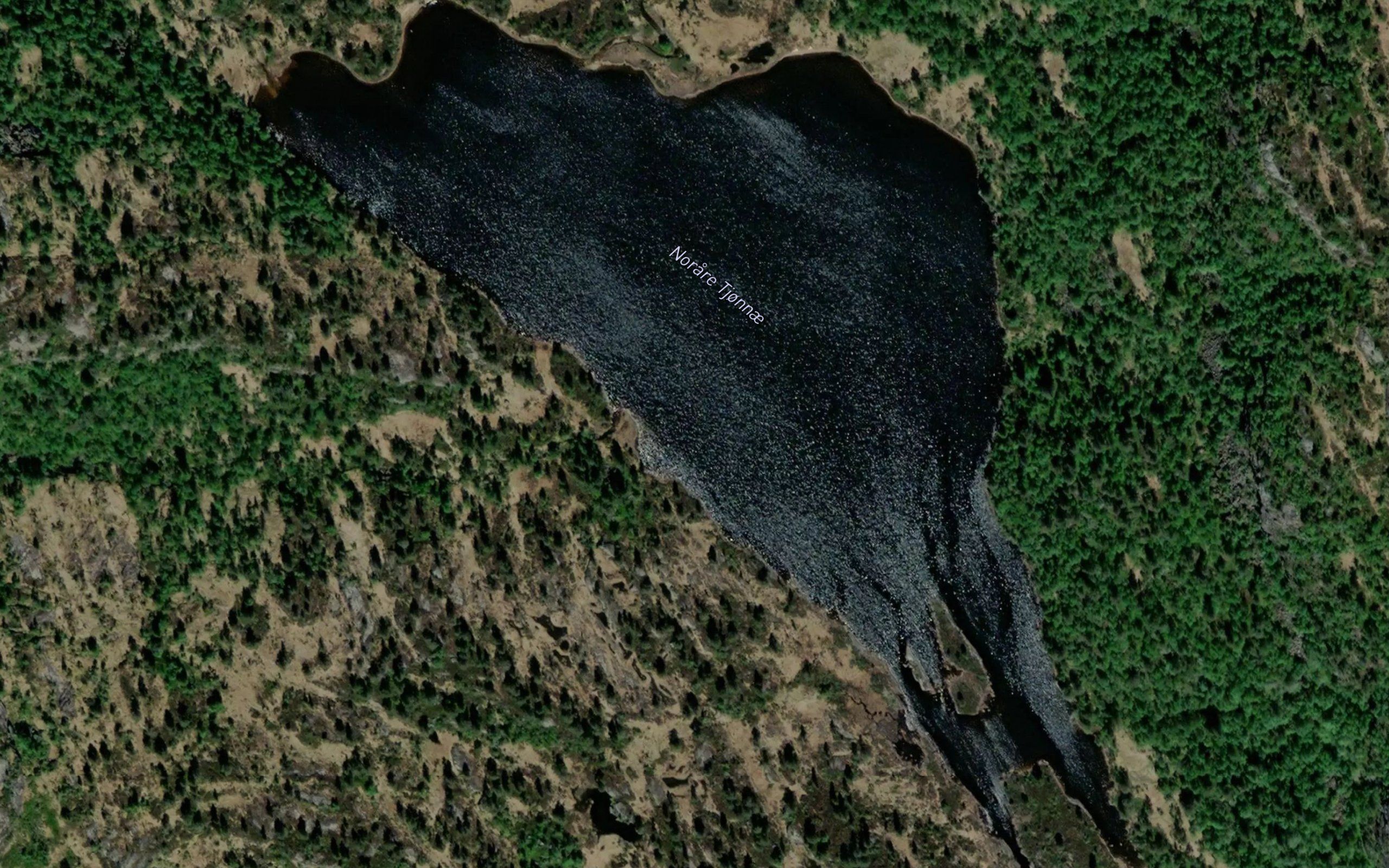 Kjosevasstjornin
