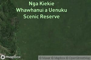 Te Hoanga Stream
