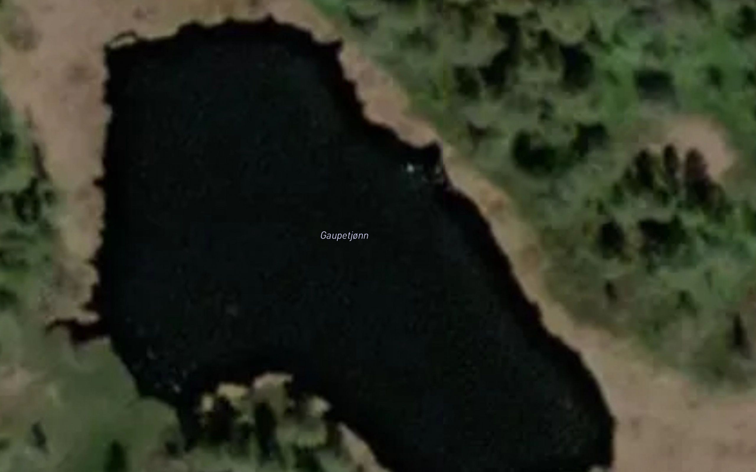Gaupetjonn