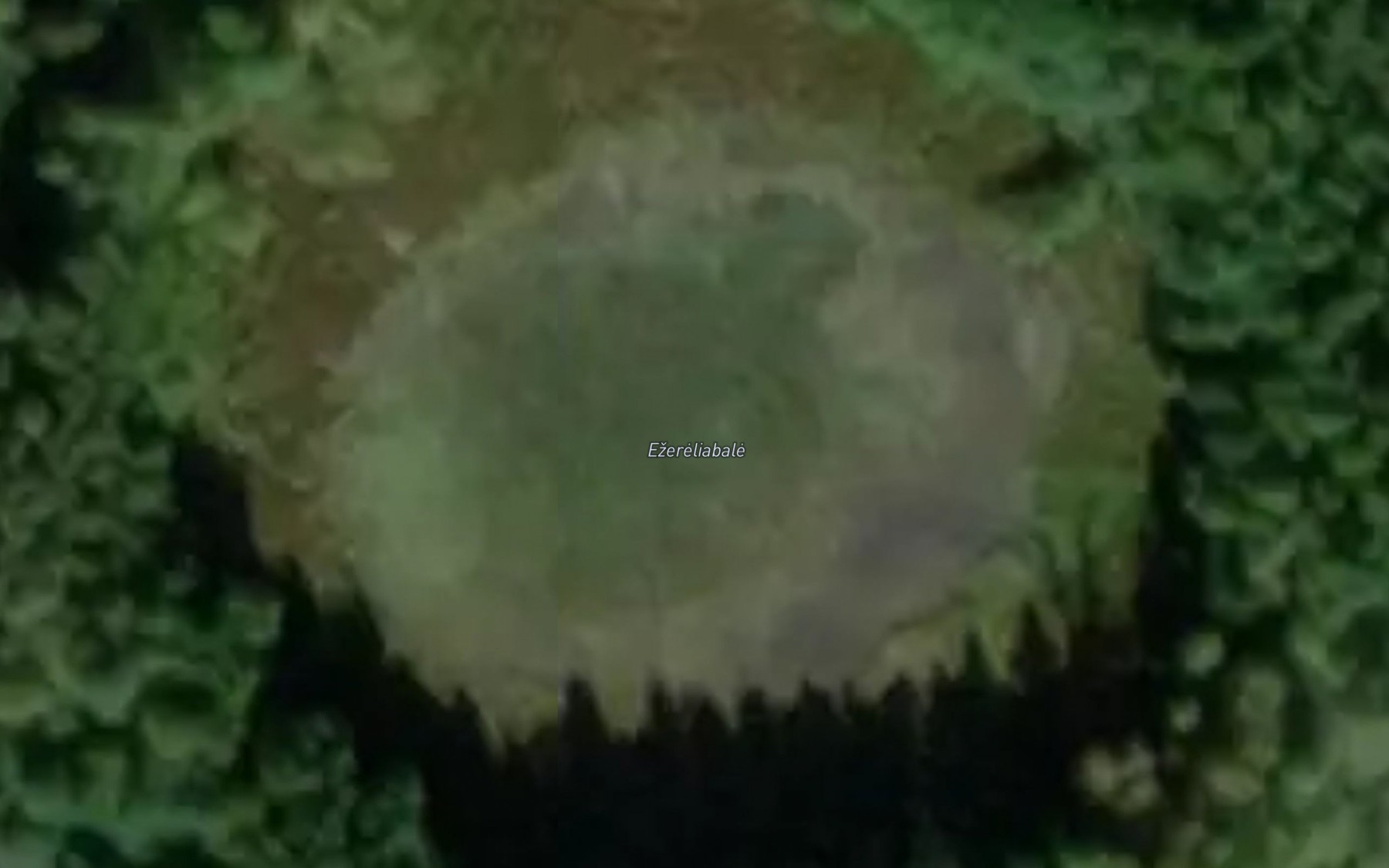Satellite map of the Ezeras Ezereliabale