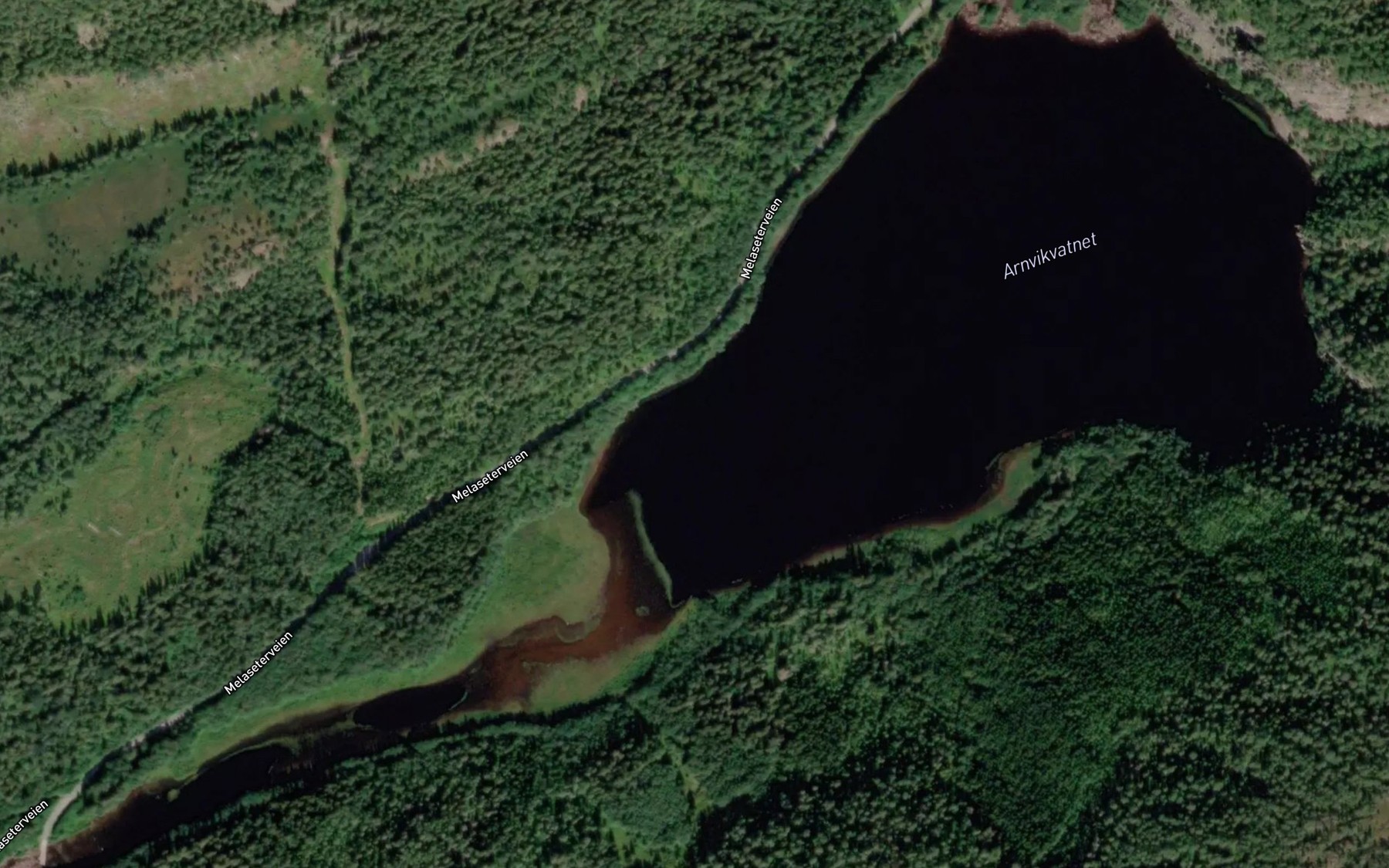 Satellite map of the Arnevikvatnet