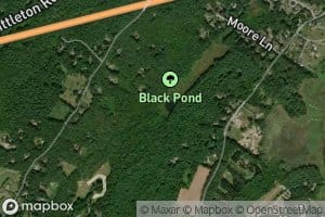 Black Pond