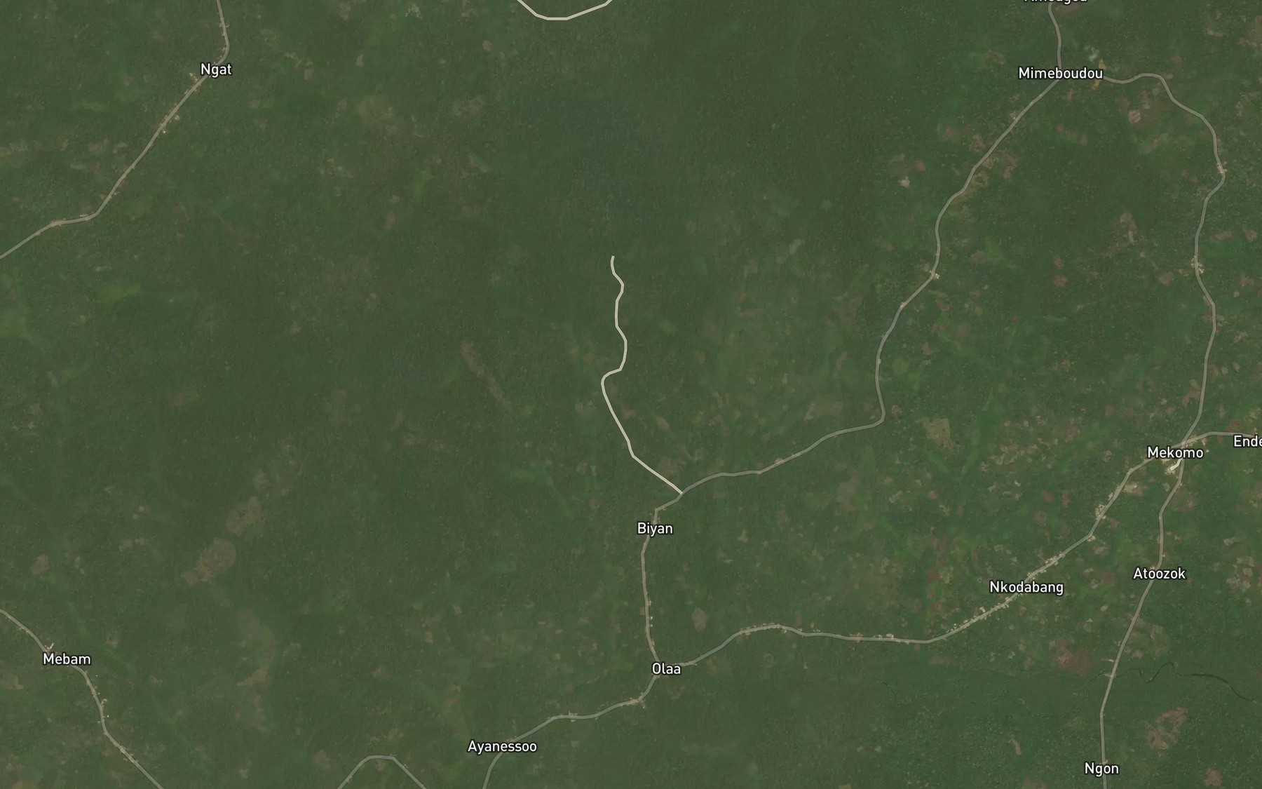 Satellite map of the Bloa