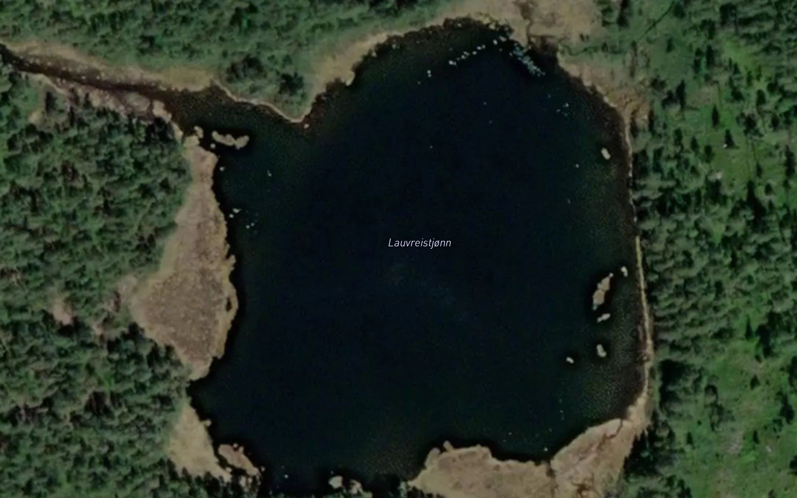 Lauvreistjorna