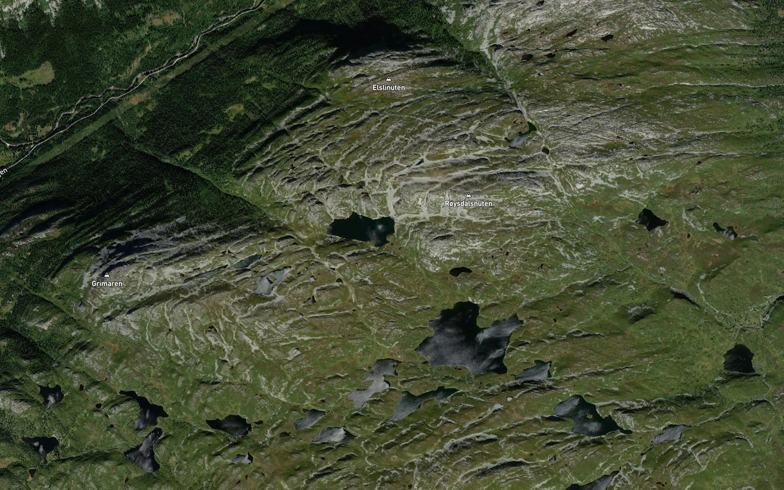 Kvitbekk