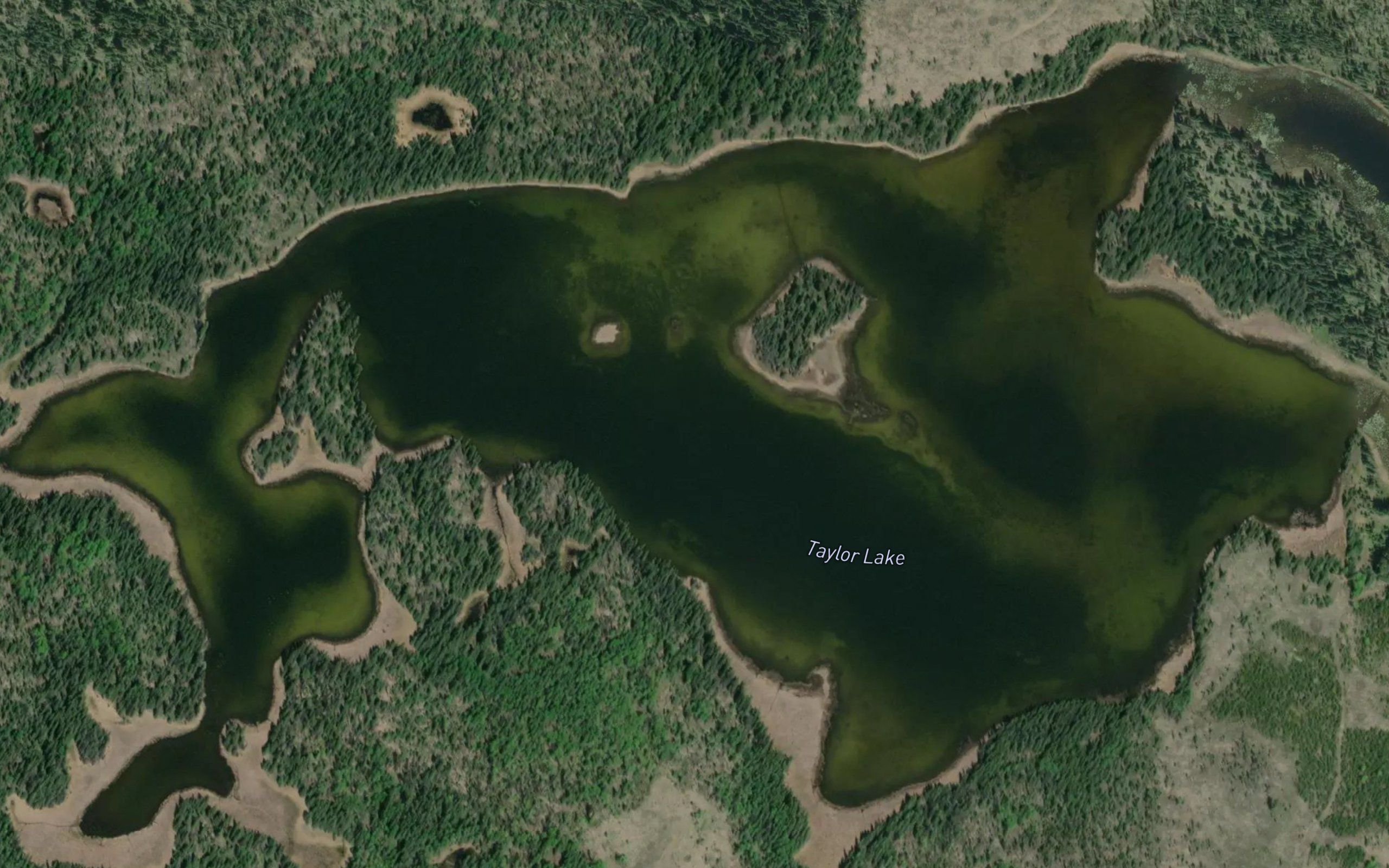 Taylor Lake
