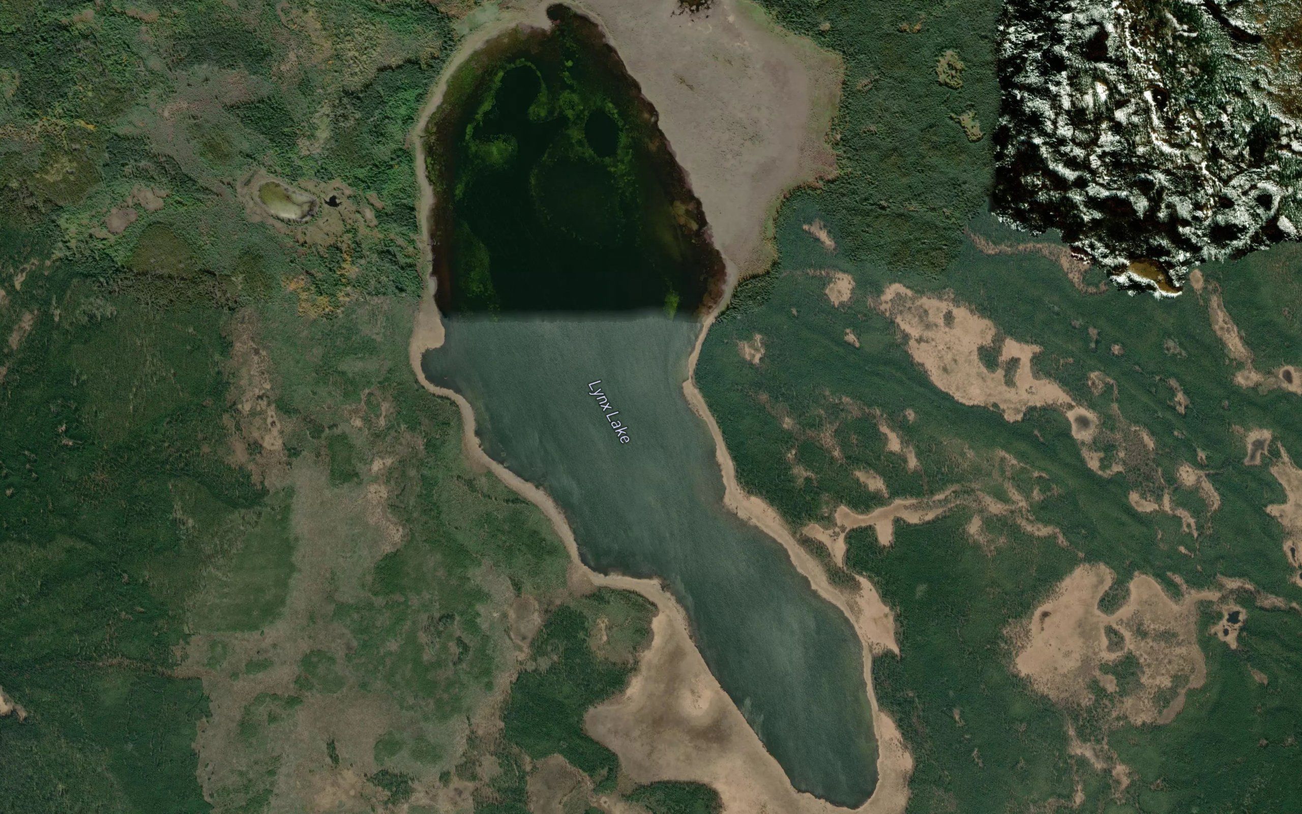 Lynx Lake