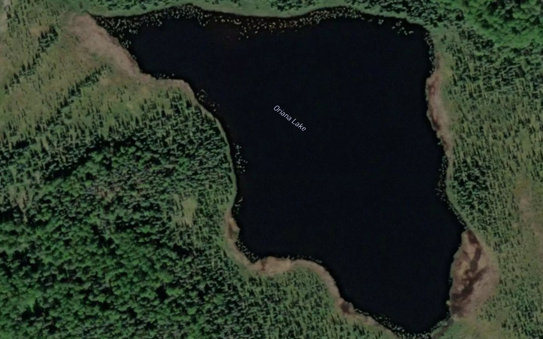 Satellite map of the Oriana Lake