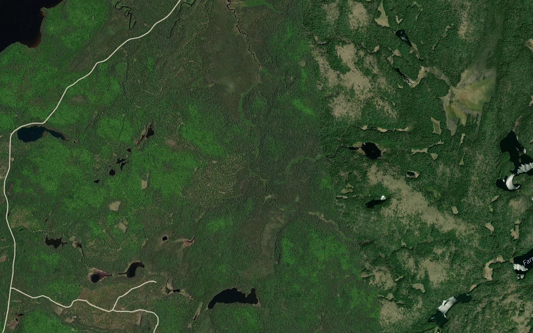 Satellite map of the Foy Creek