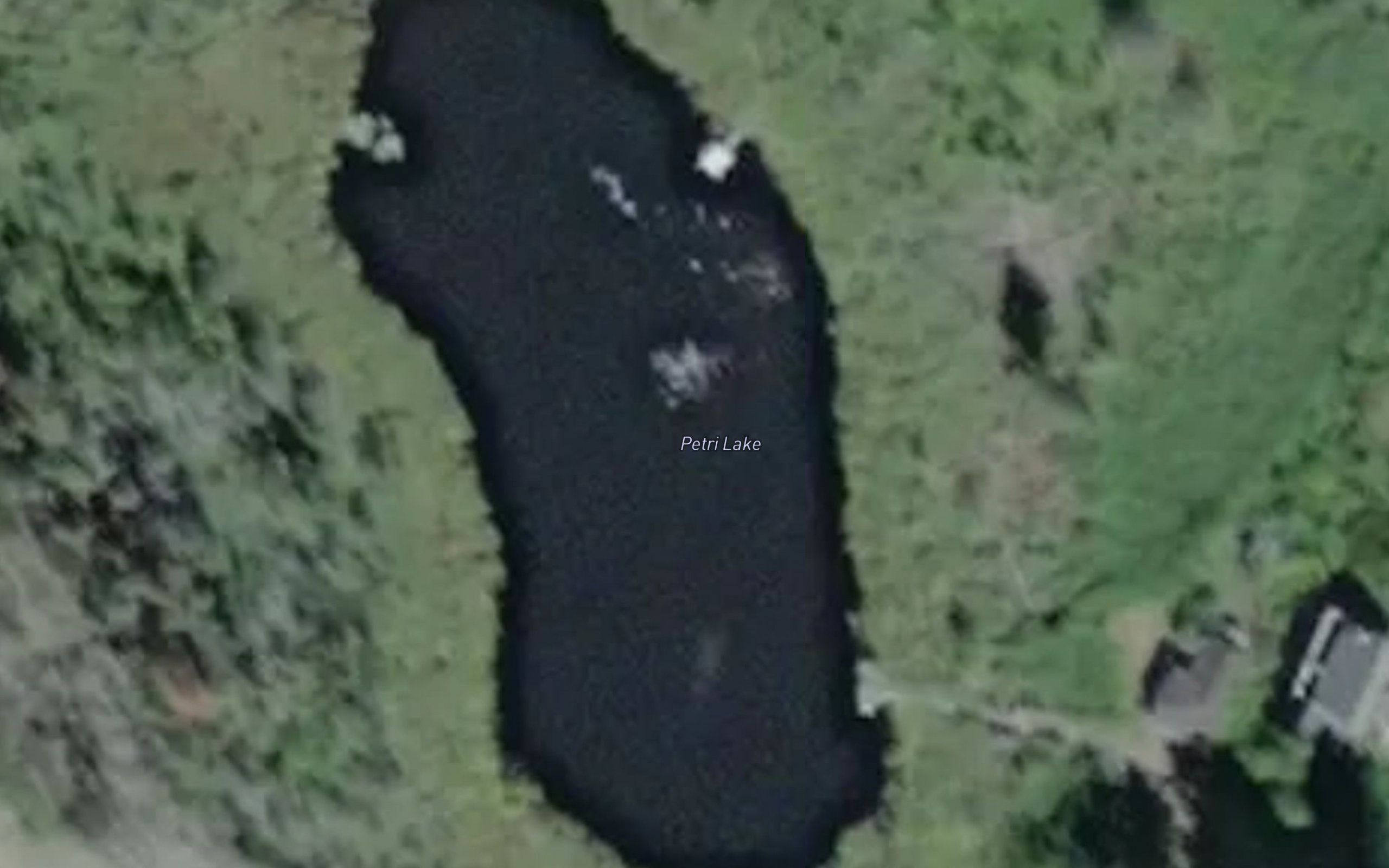 Petri Lake