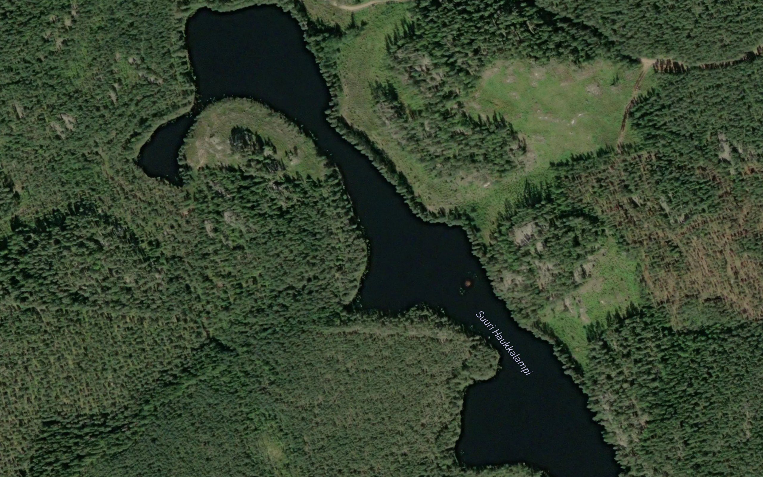 Suuri Haukkalampi