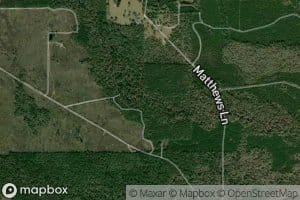 Steepbank Creek