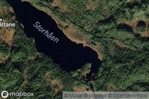 Storhaen