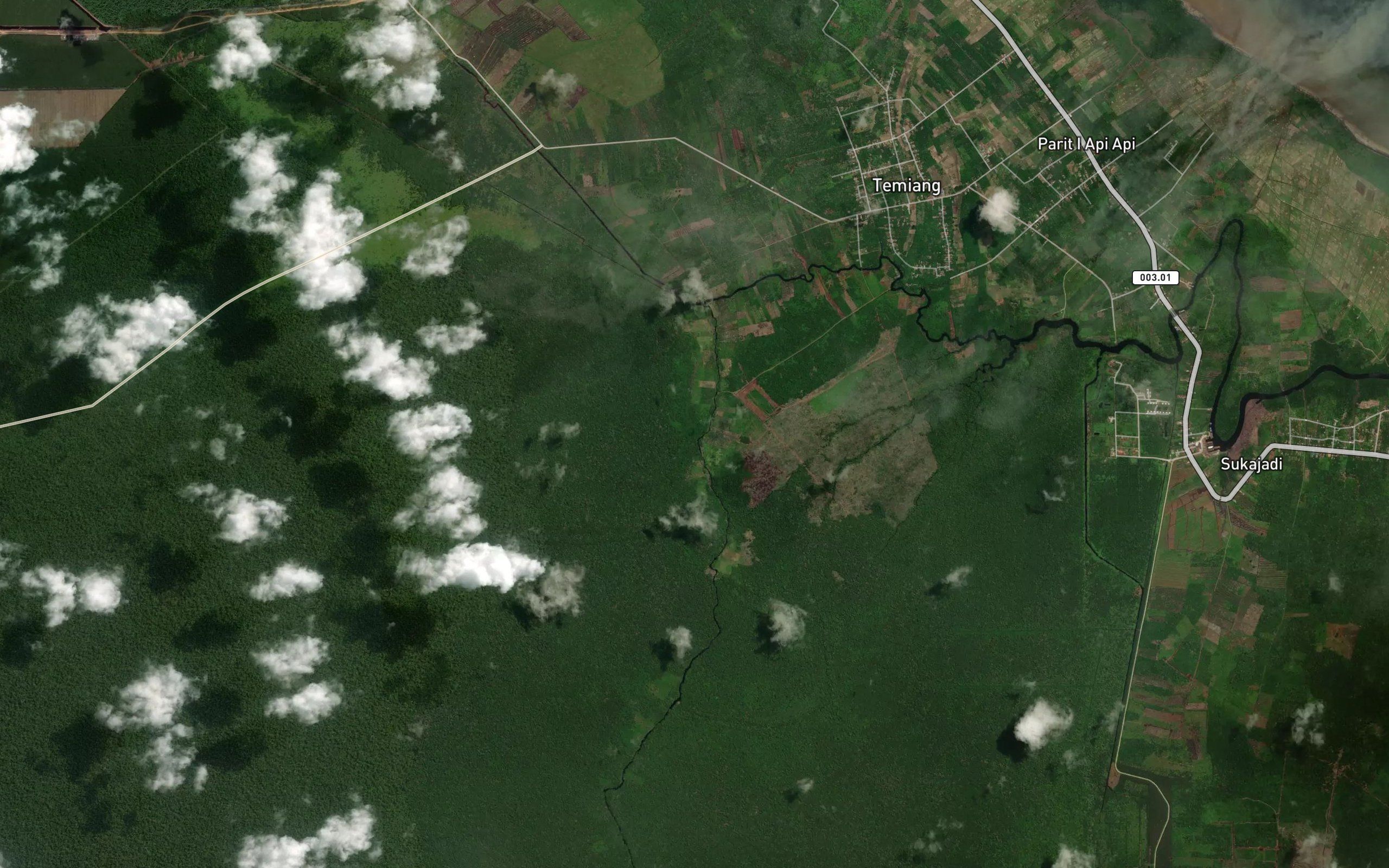 Sungai Sialang