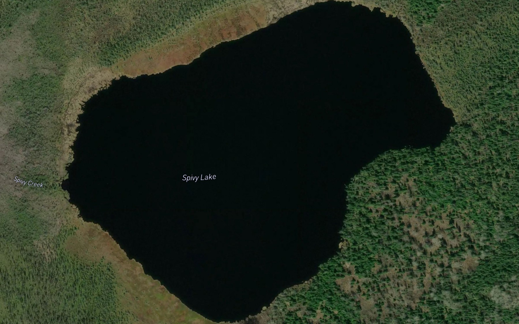Satellite map of the Spivy Lake