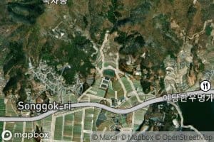 Songgokje