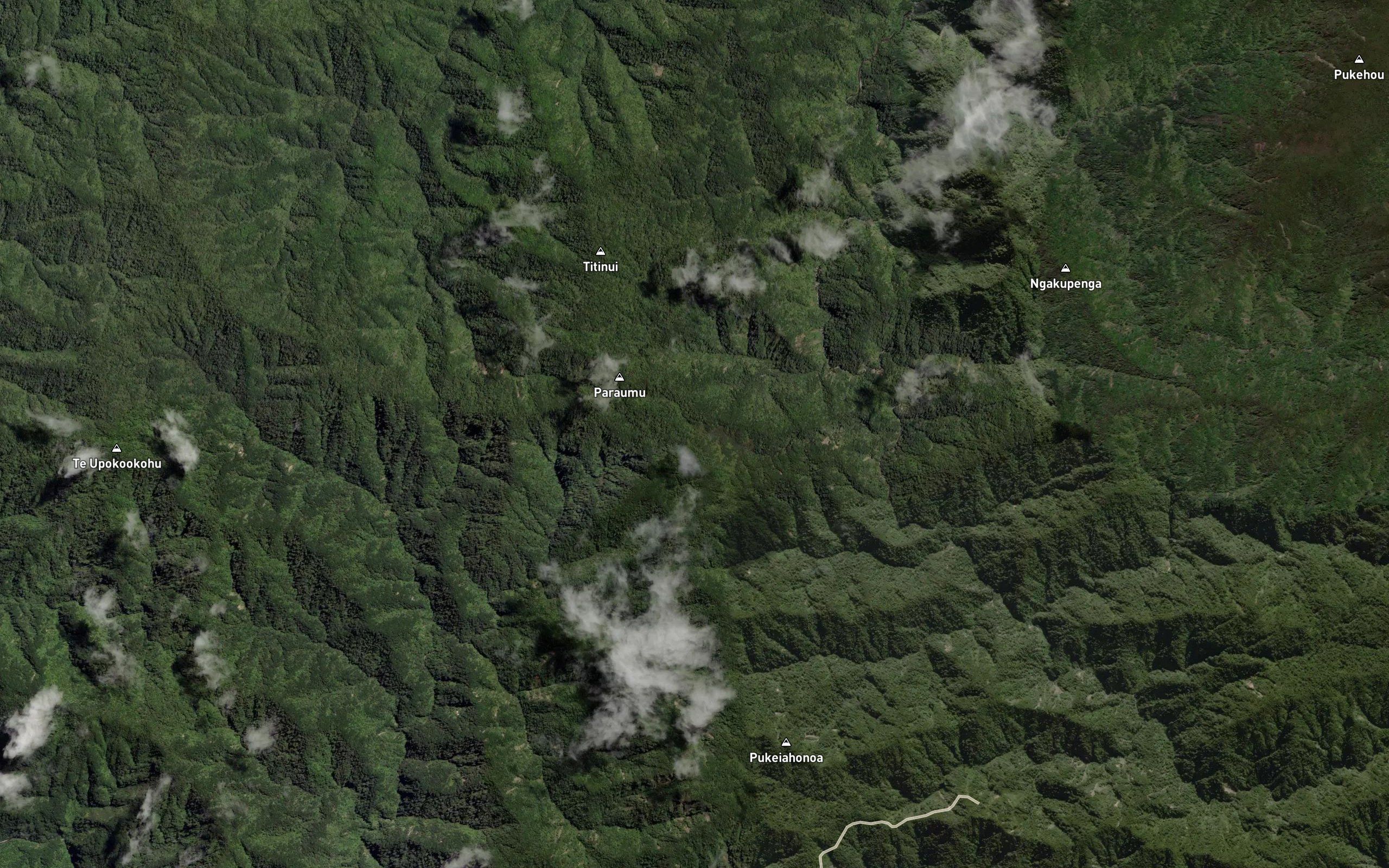 Kaituna Stream