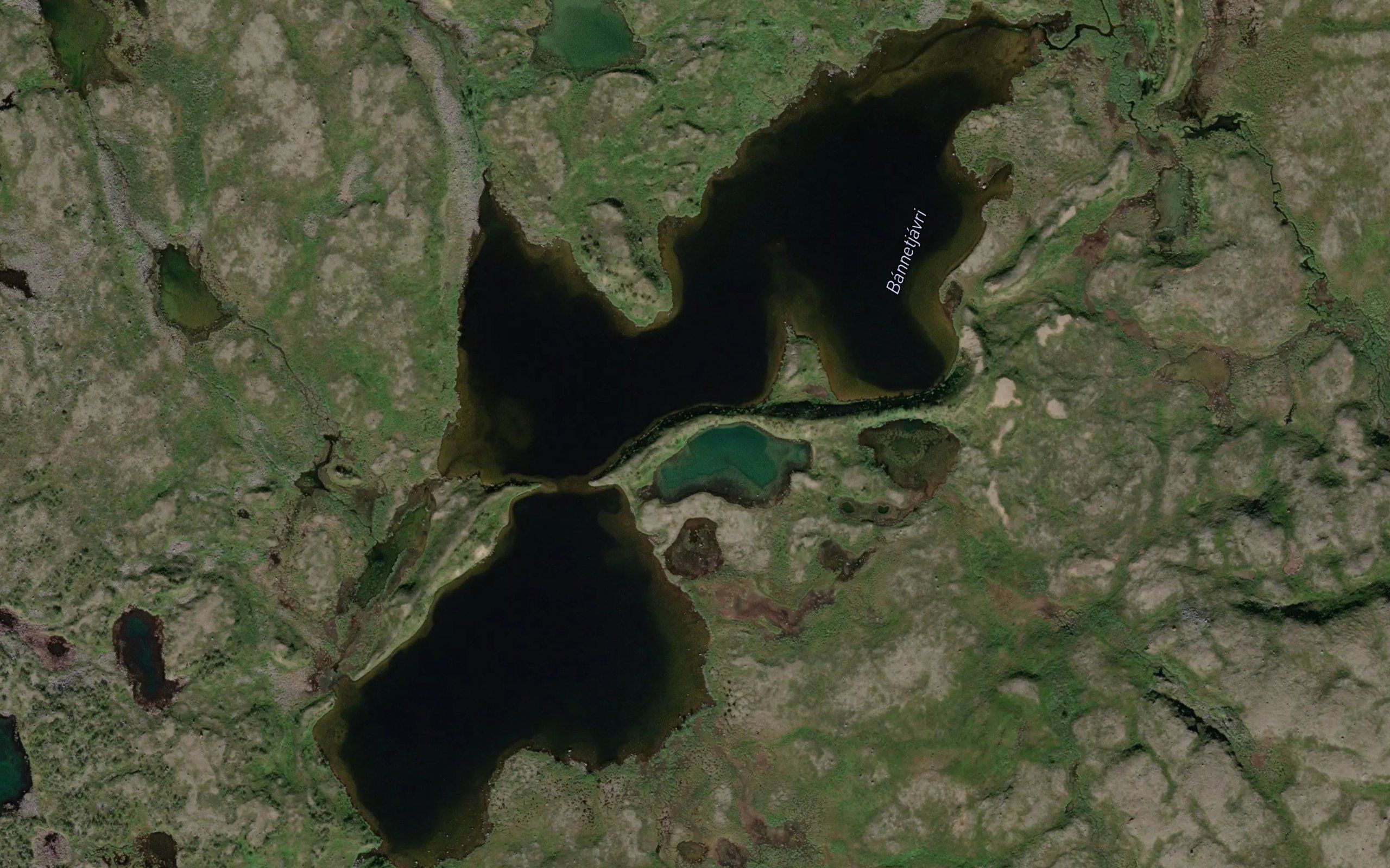 Bannetjavri