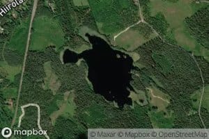 Taatiainen