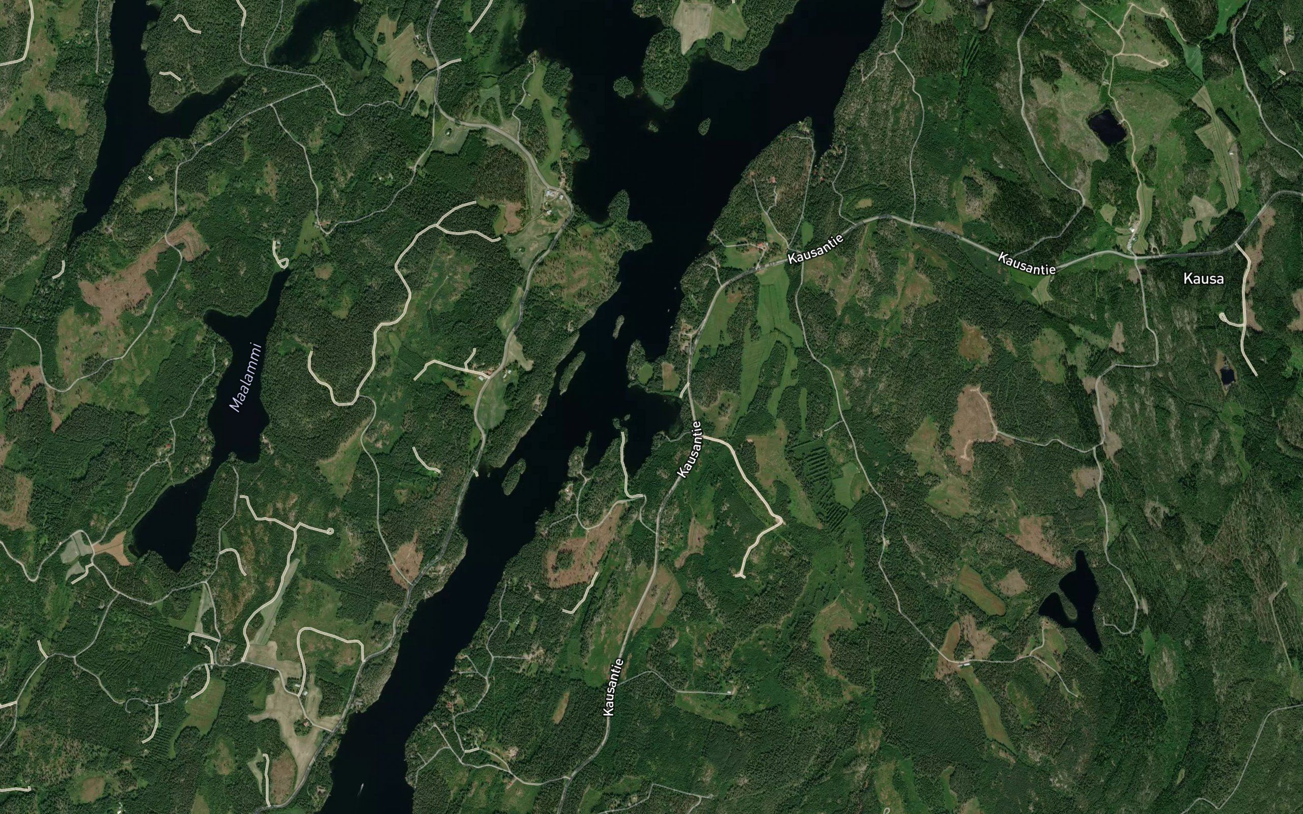 Levealahti