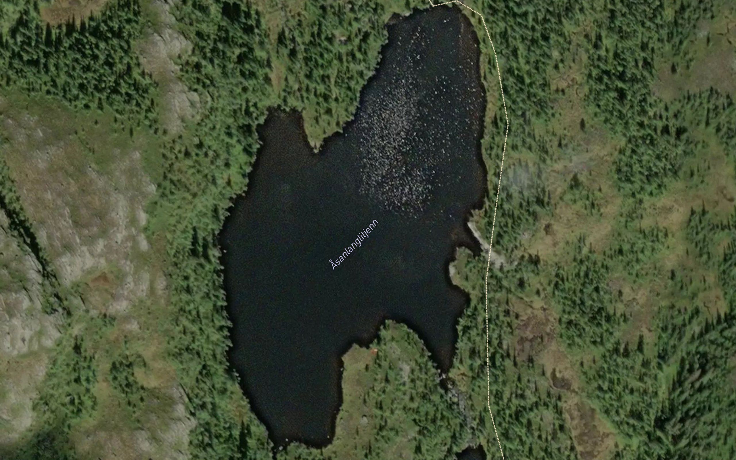 Asanlanglitjern