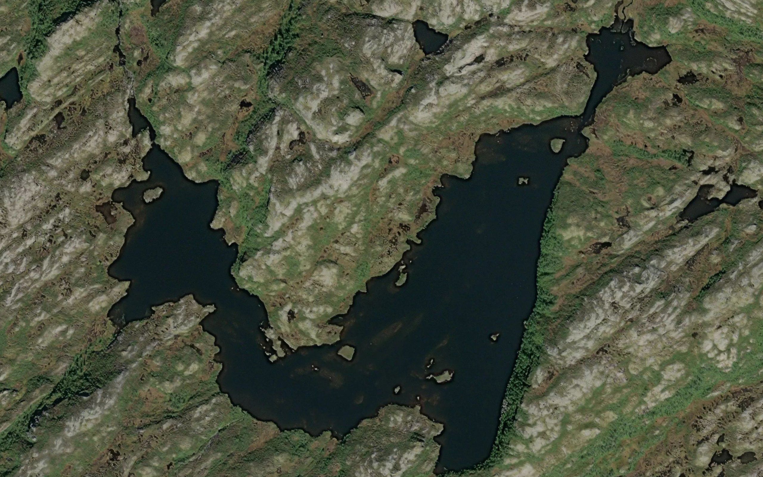 Finnpertjorna