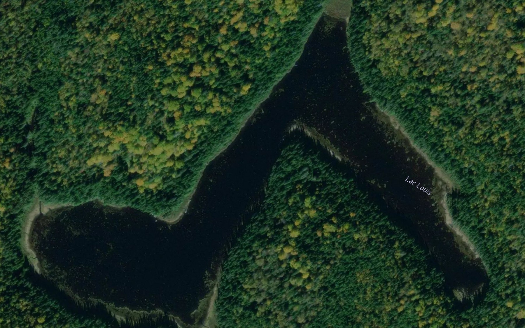 Satellite map of the Lac Louis
