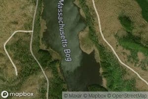 Massachusetts Bog