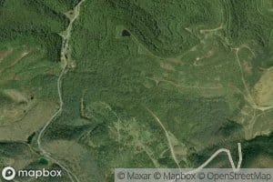 Left Fork Long Branch