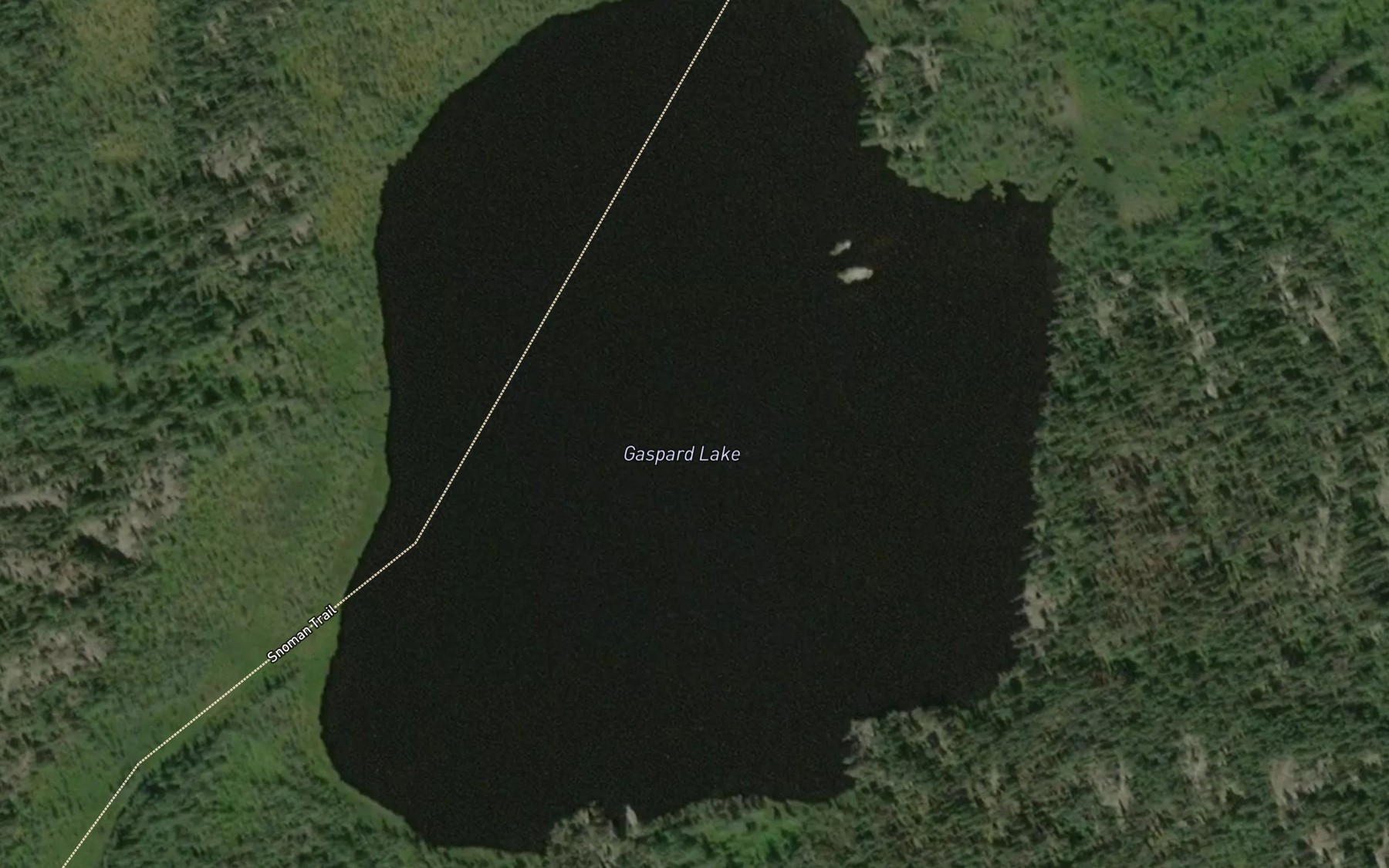 Satellite map of the Gaspard Lake
