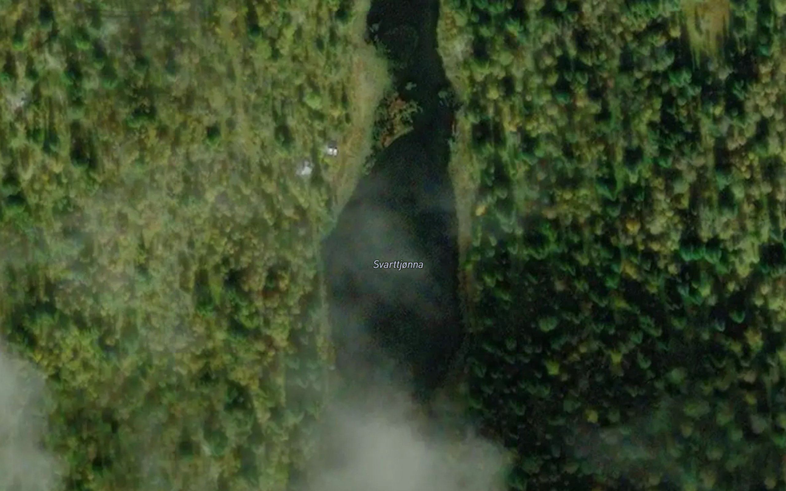 Svarttjorna
