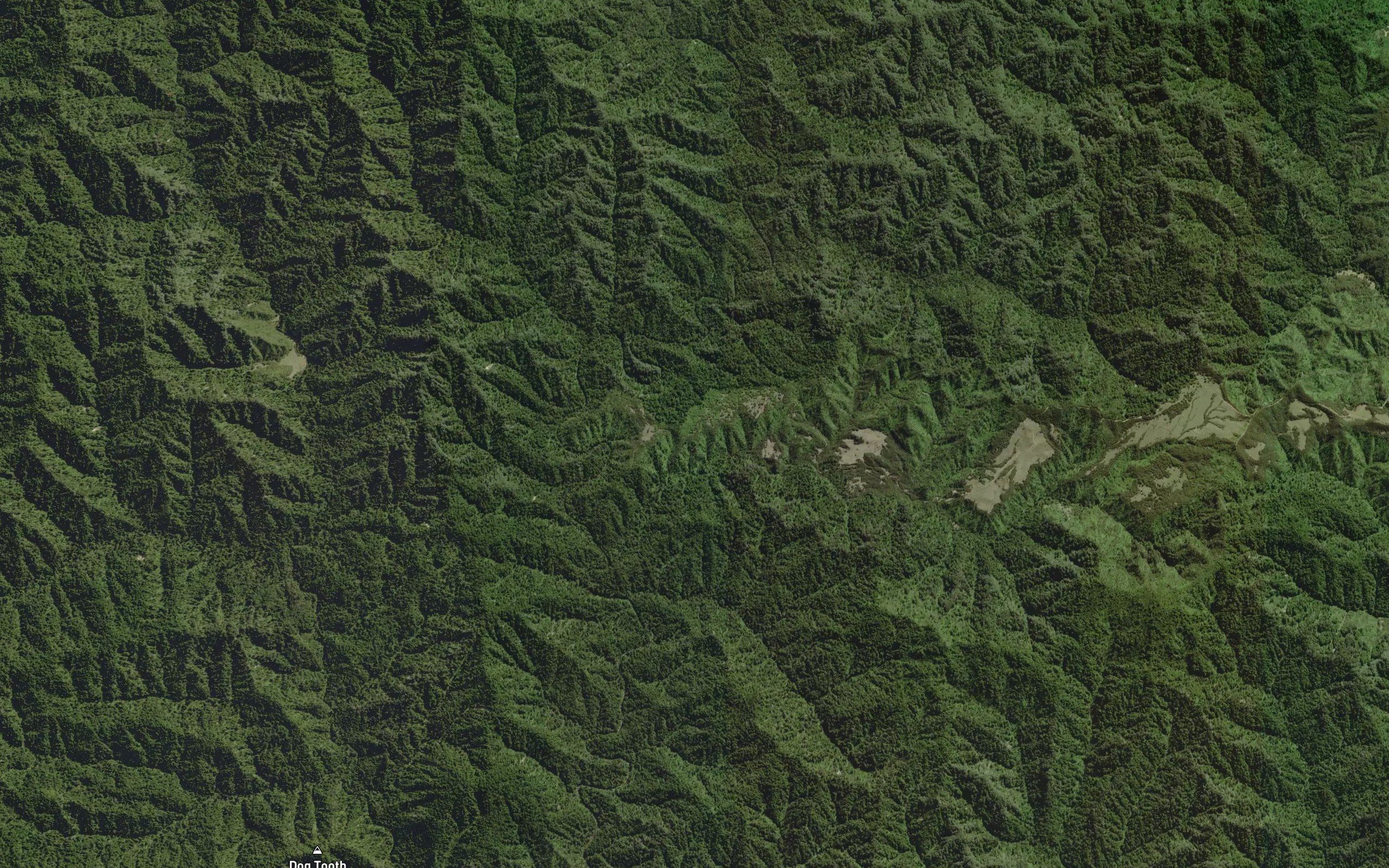 Waioronuku Stream