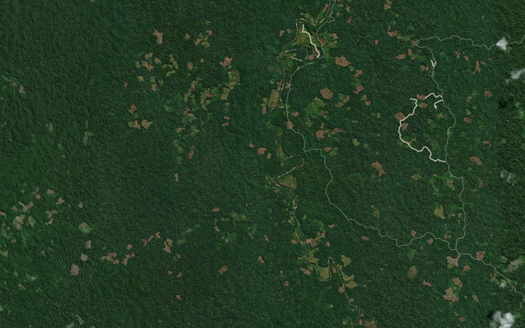Satellite map of the Rio Chambira