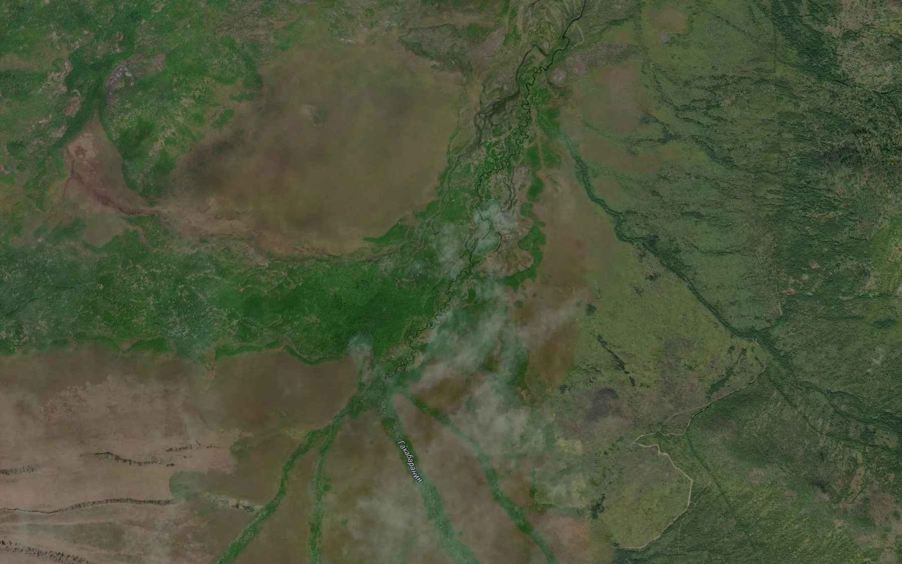 Satellite map of the Dvoynoy