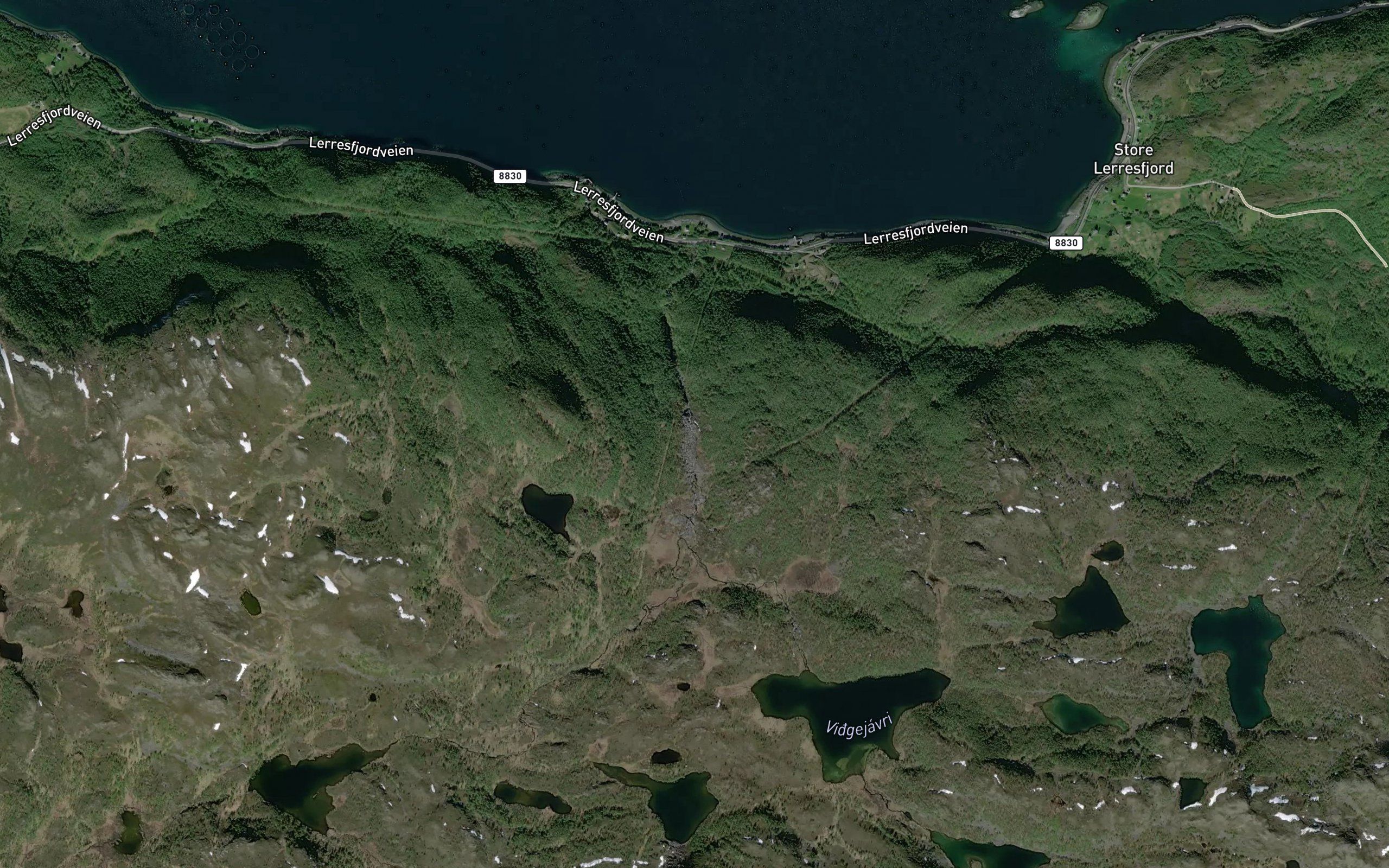 Viggejakka