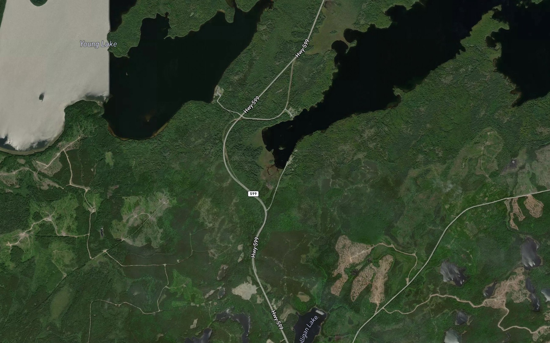 Satellite map of the Trout Creek