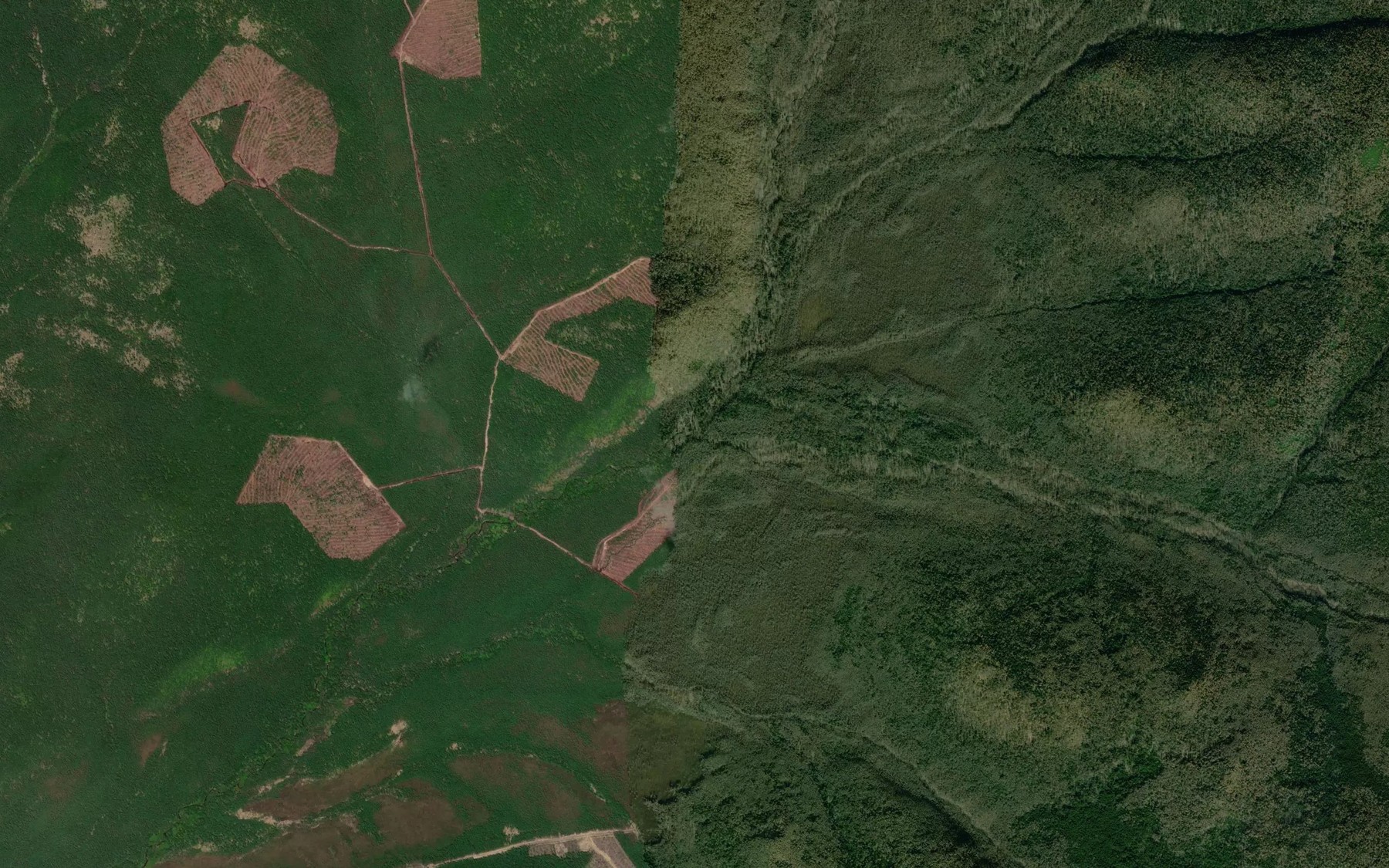 Satellite map of the Vetvistyy
