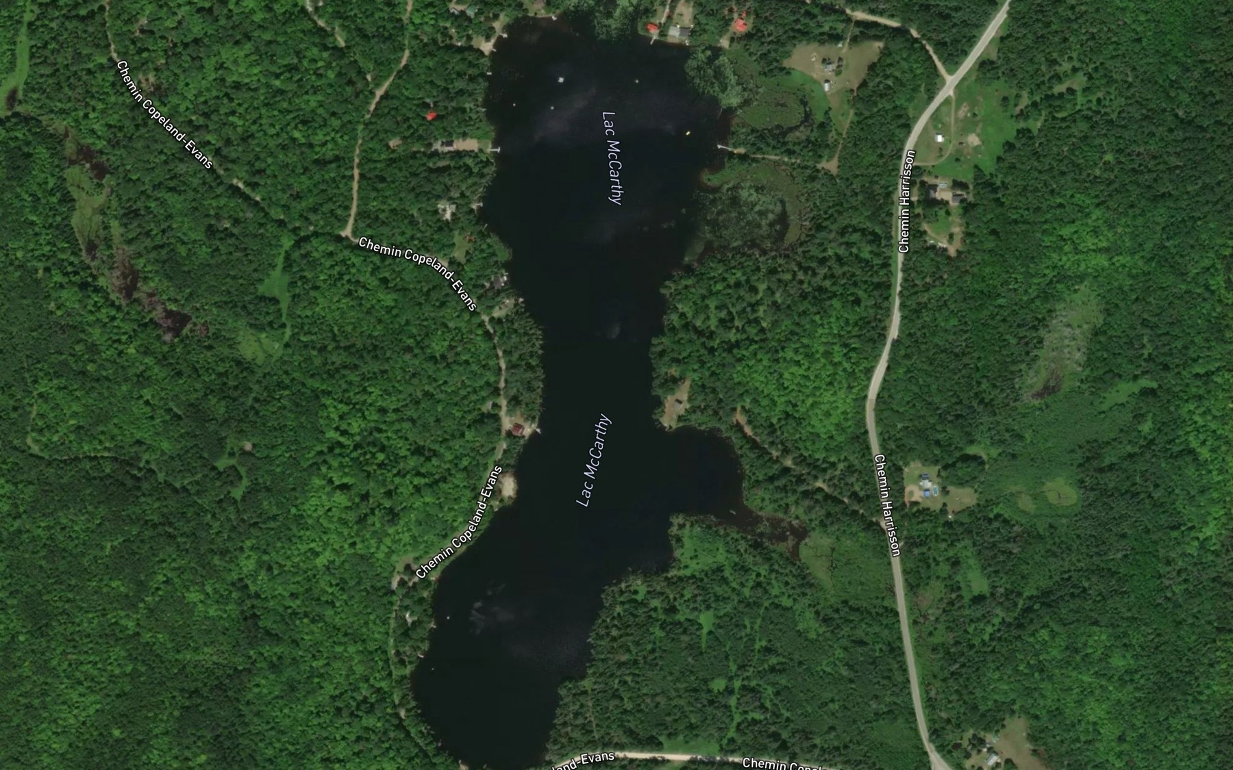Satellite map of the Lac McCarthy