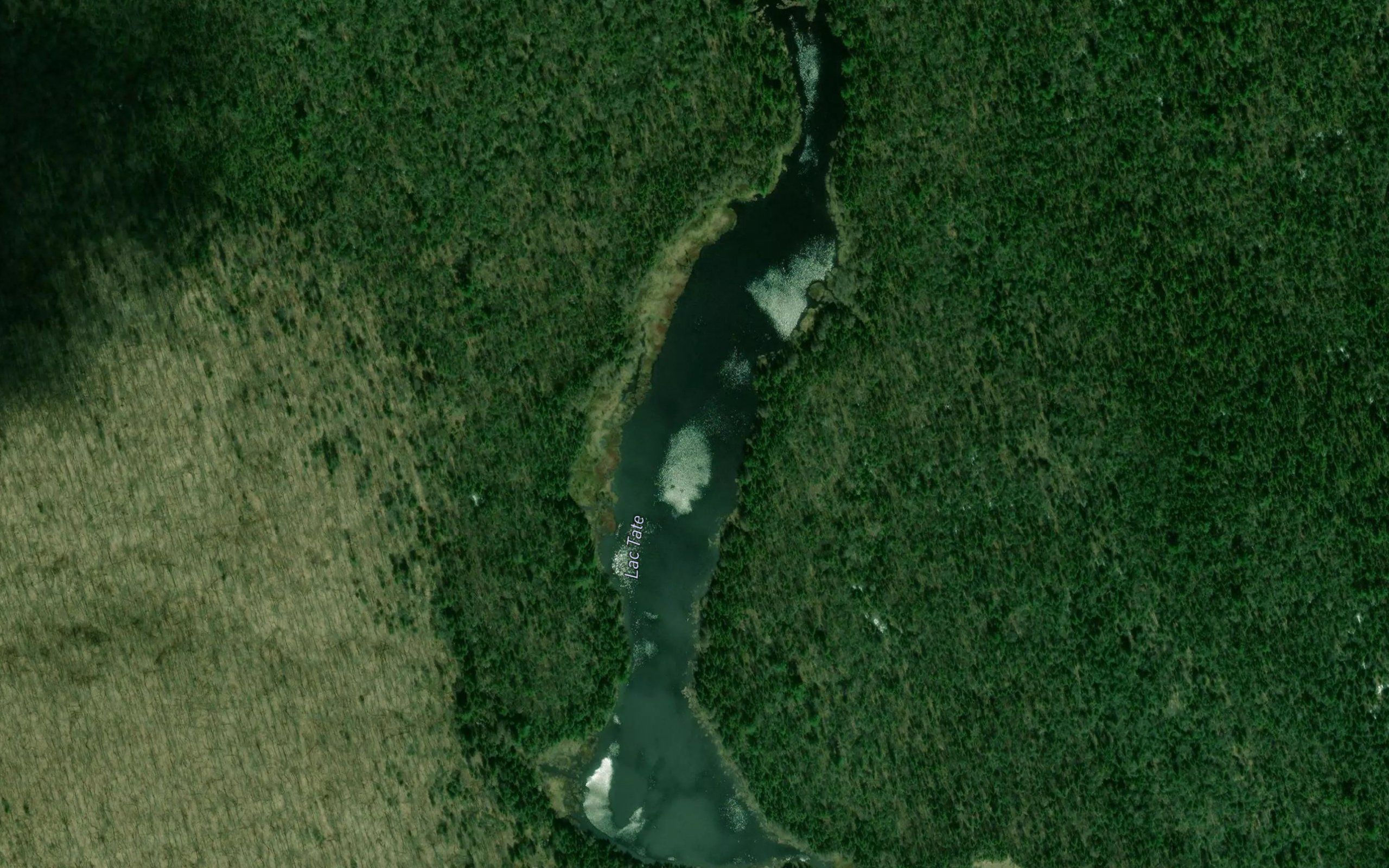 Lac Tate