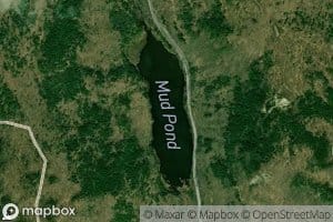 Mud Pond
