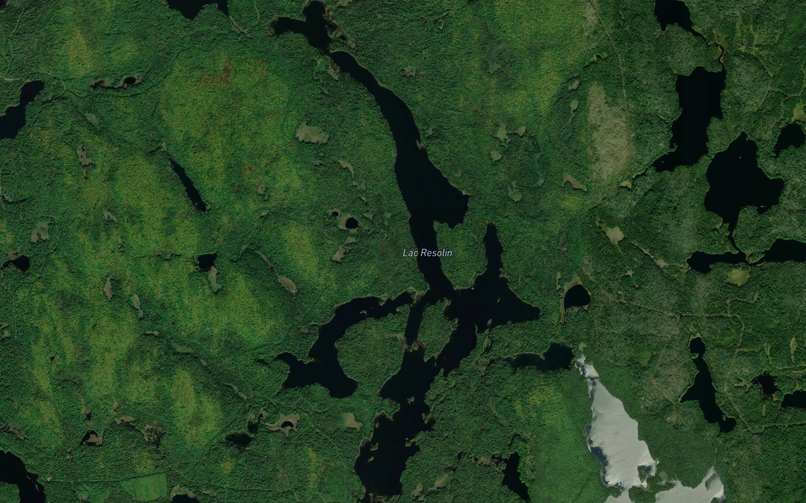Lac Resolin