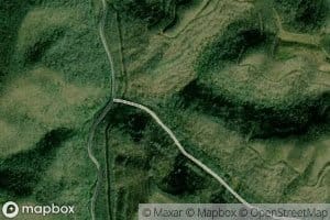 Left Fork Spruce Branch
