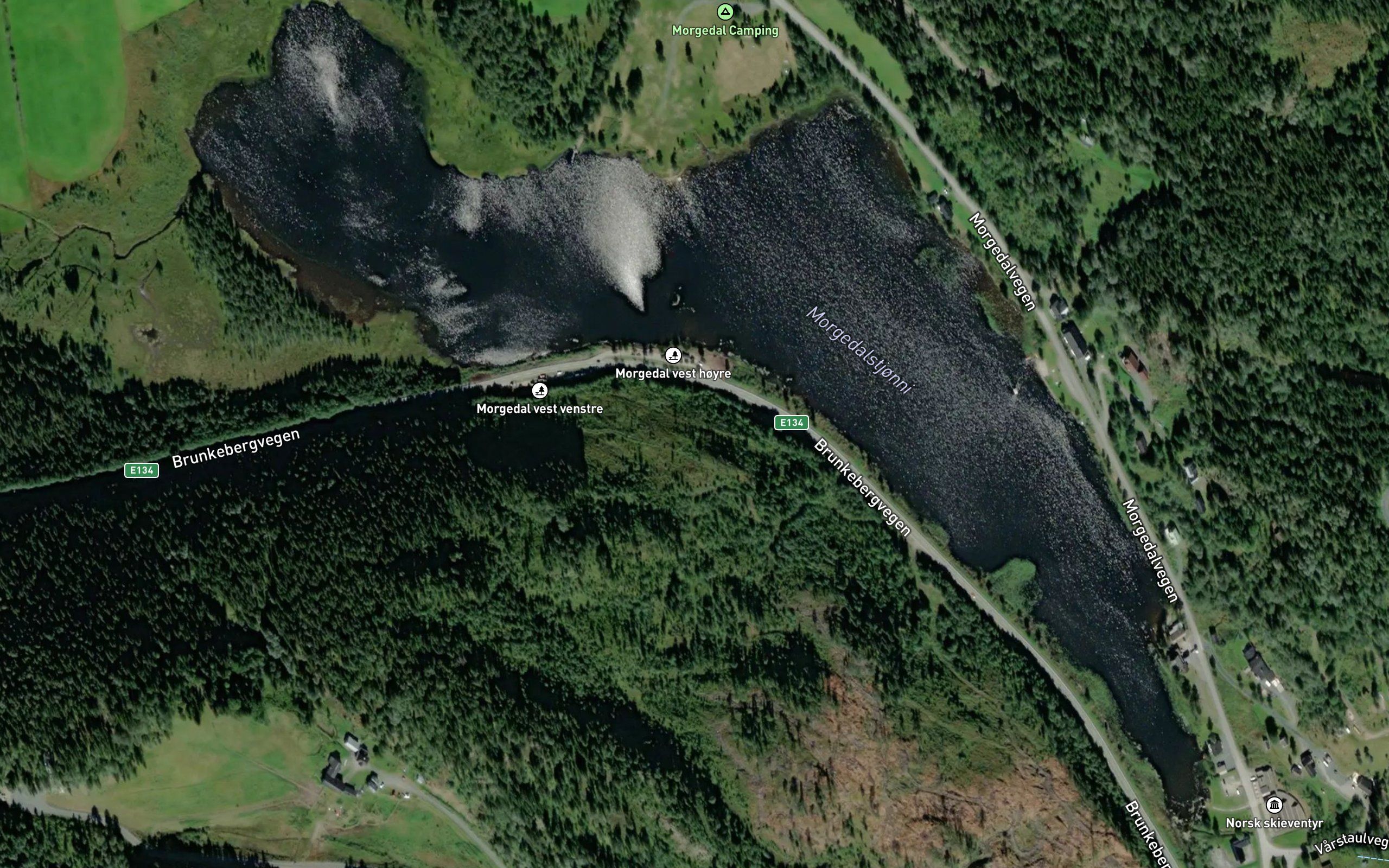 Morgedalstjorn